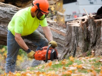 Tree Service